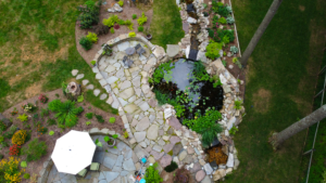 A garden with many different plants and rocks