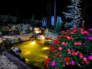 A pond with lights and flowers in the background.
